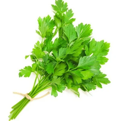 Fp Coriander