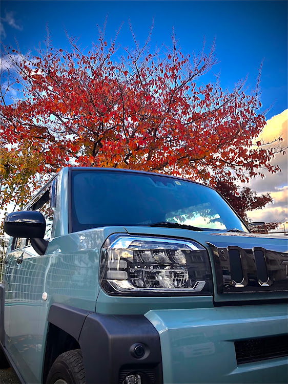 タフトのひさびさの投稿・12月もよろしくお願いします・紅葉と愛車に関するカスタム事例の投稿画像1枚目