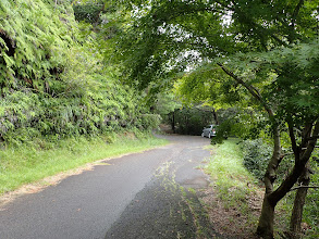 車に戻る