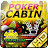 Poker Cabin Premium icon