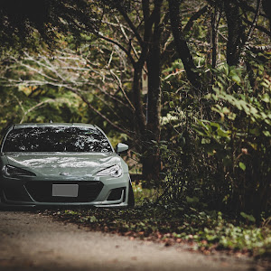 BRZ ZC6