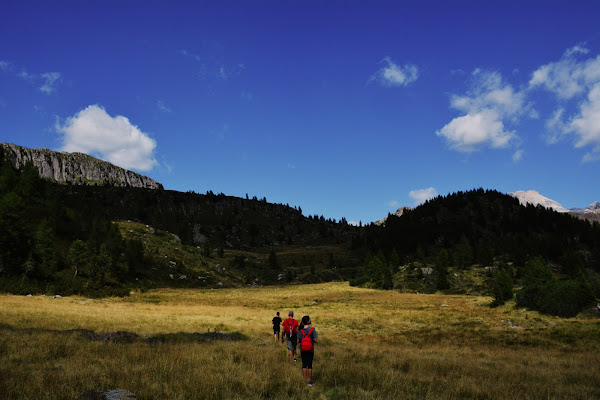 Exploring di Alessia Carraro