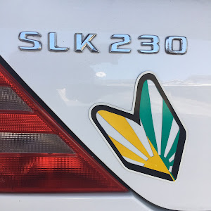 SLK R170
