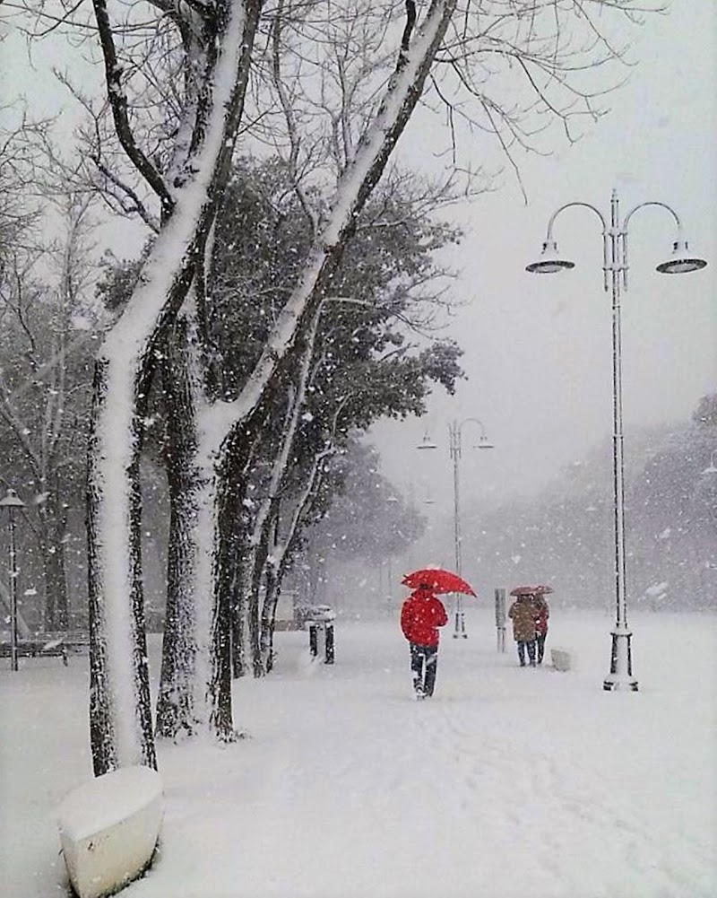 camminando nel silenzio bianco di MaxFelice