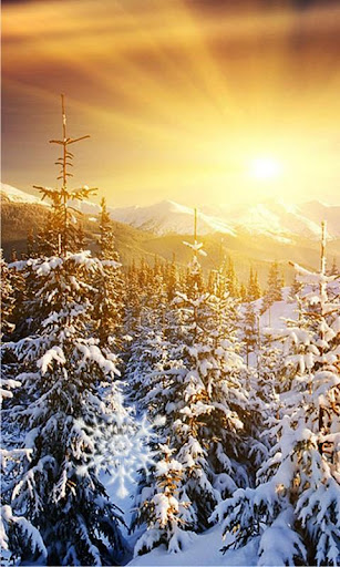 Winter Sunset live wallpaper