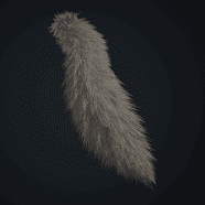  Wolf Tail 