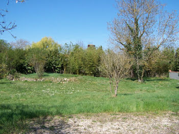 terrain à Saint-Georges-de-Didonne (17)