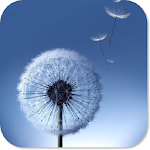 Cover Image of Descargar Galaxy HD Wallpapers 1.0 APK