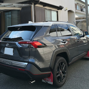 RAV4