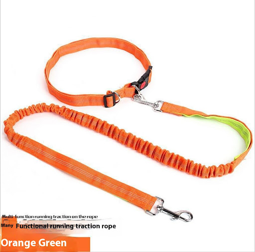 Title 3, Elastic Night Reflective Filament Dog Leash for...