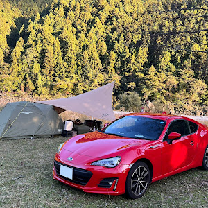 BRZ ZC6