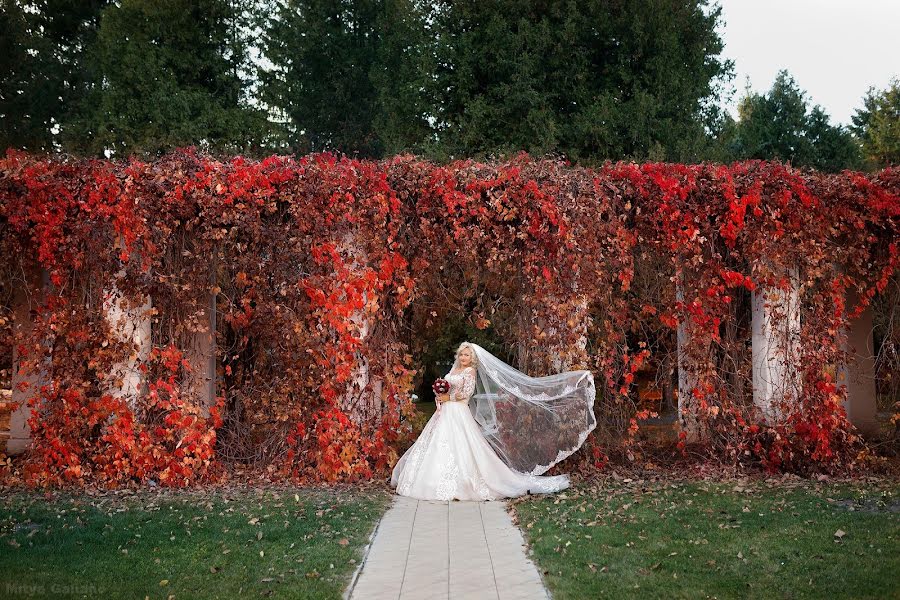 Wedding photographer Dmitriy Mezhevikin (medman). Photo of 25 October 2018