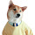 Menswear Dog Wallpaper NewTab - freeaddon.com