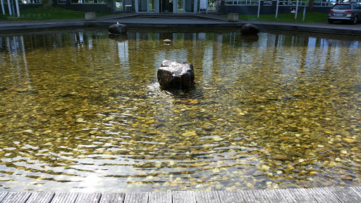 Brunnen Tiefenbroich 2