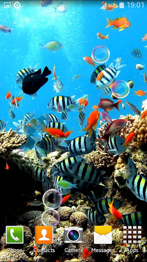 免費下載個人化APP|Aquarium Live Wallpaper app開箱文|APP開箱王