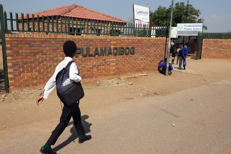 A total of 90 pupils at Pulamadibogo Primary School in Pretoria fell ill after eating muffins allegedly laced with dagga.