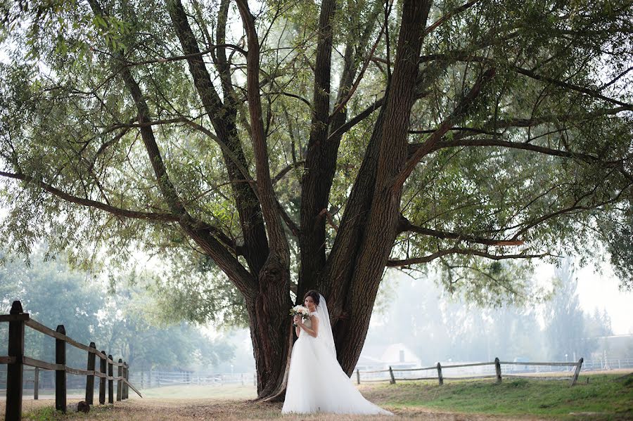 Wedding photographer David Samoylov (samoilov). Photo of 11 January 2018