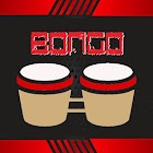 Bongo drum 3.3.00007