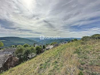 terrain à Saint-Geniez-d'Olt (12)