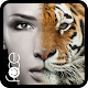 Beauty Face Plus : face morphing Download on Windows