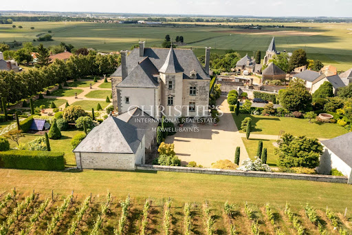 Vineyard with pool 2
