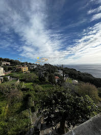 appartement à Brando (2B)