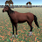 Horse simulator icon