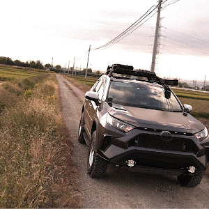 RAV4 MXAA54