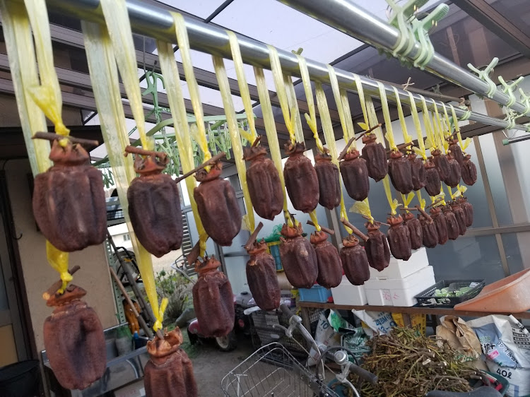 メガーヌ ハッチバックの額田出張・走行距離350km・なんてことない１日・にゃあさんのフードファイトに関するカスタム事例の投稿画像5枚目