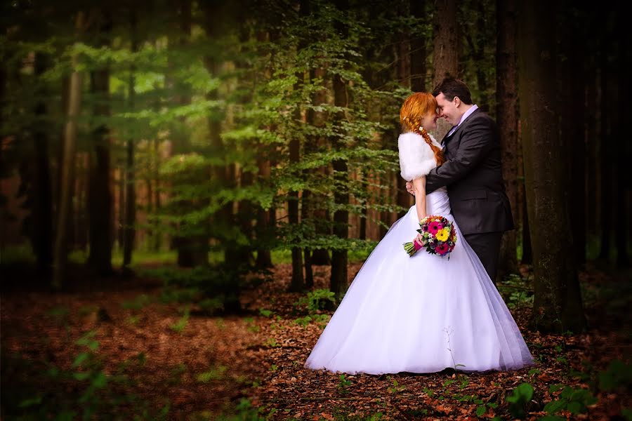 Photographe de mariage Alena Sreflova (sreflova). Photo du 15 janvier 2014