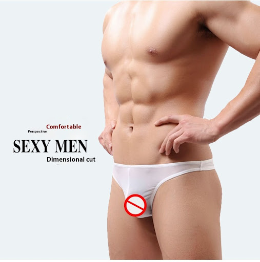 Title 6, Ice Silk Thin Breathable Translucent Mens Thong