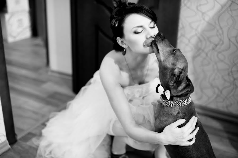 結婚式の写真家Vladimir Sagalo (sagalo)。2012 12月19日の写真