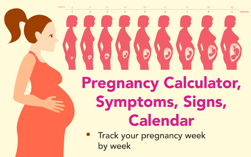 Screenshot Pregnancy calculator, symptoms