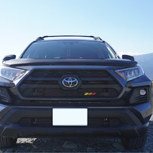 RAV4 MXAA54