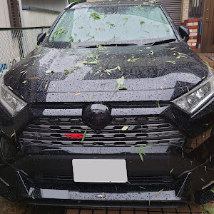 RAV4 AXAH54