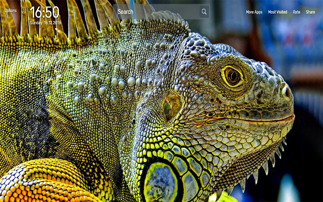 Iguana Wallpapers NewTab Theme