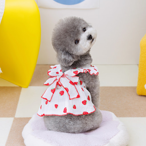 Title 12, Dog Clothes Floral Princess Dress Spring and Su...
