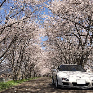 RX-7 FD3S 中期