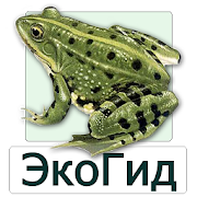 EcoGuide: Russian Amphibians MOD