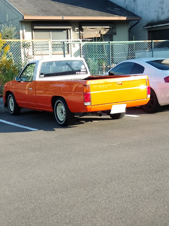ダットサントラックの腰痛万歳🙌に関するカスタム事例の投稿画像2枚目