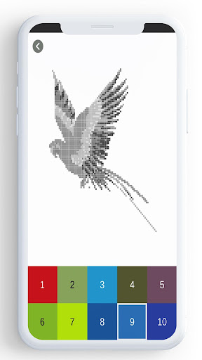 Birds Color By Number, pixel bird coloring