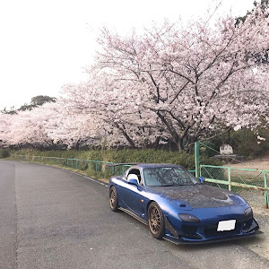 RX-7 FD3S 後期