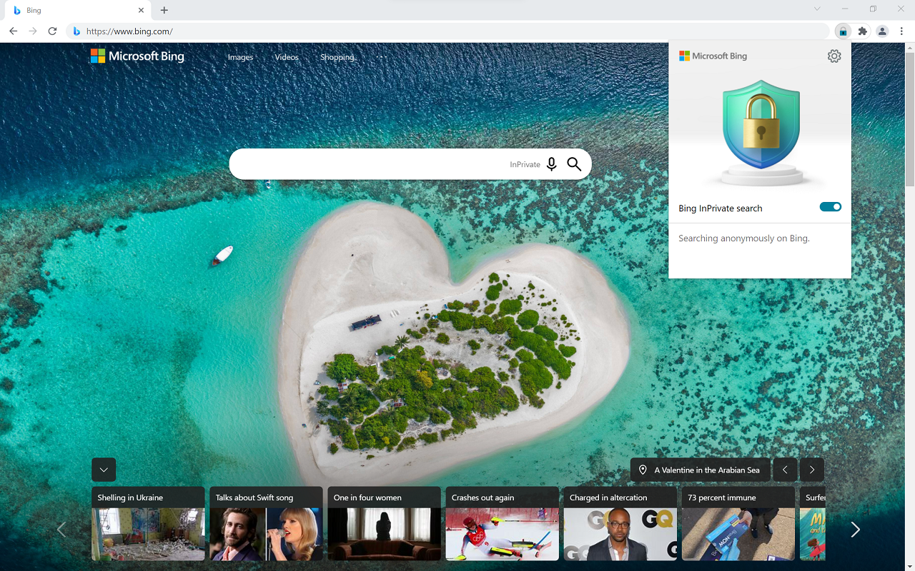 Microsoft Bing InPrivate Preview image 5