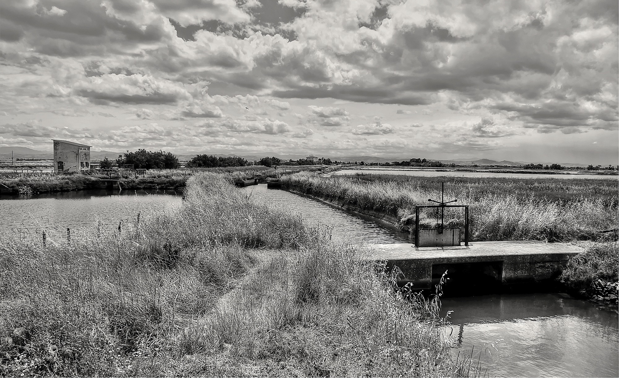 Le Saline di Cervia di Paolo Scabbia