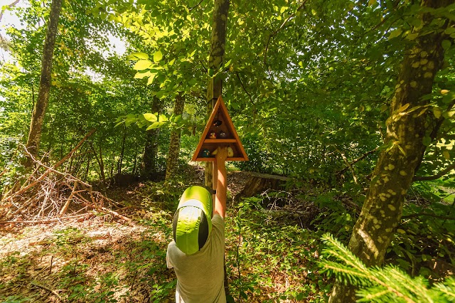 EL SENDERO FAMILIAR EN LUDMANNSDORF - Austria en familia, Carintia en 4 días (Alpes y lagos) (7)