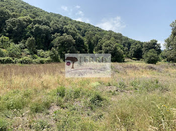 terrain à Serra-di-Fiumorbo (2B)