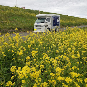 ハイゼットトラック S211P