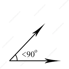 Image result for acute angle