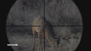 Sand Creek Whitetails: Take 2 thumbnail