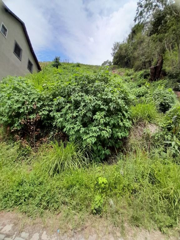 Terreno Residencial à venda em Pimenteiras, Teresópolis - RJ - Foto 1